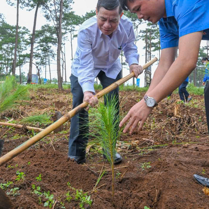 Green Cities Initiative