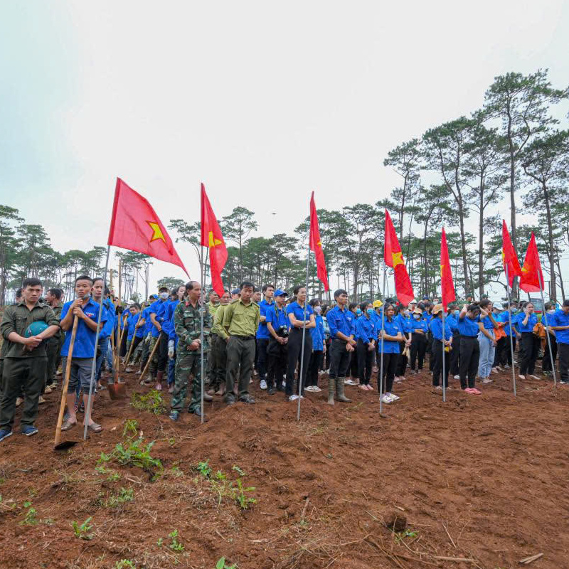 NoPlasticChallenge Campaign